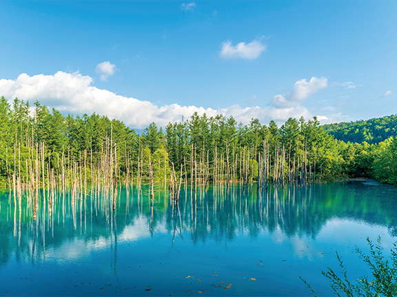 北海道
