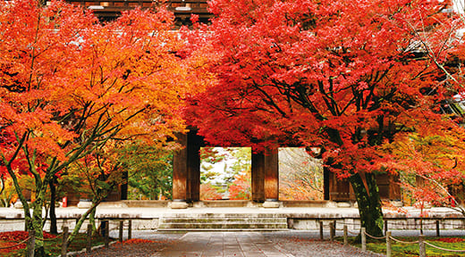 南禅寺